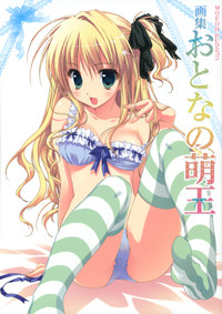 MOEOHセレクション 画集 おとなの萌王