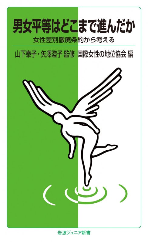 男女平等はどこまで進んだか 女性差別撤廃条約から考える (岩波ジュニア新書)