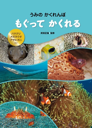 もぐってかくれる ハマグリ・メガネウオ・アサヒガニほか (うみのかくれんぼ)