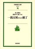 一銭五厘たちの横丁 (岩波現代文庫 社会12)