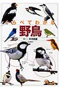 くらべてわかる野鳥
