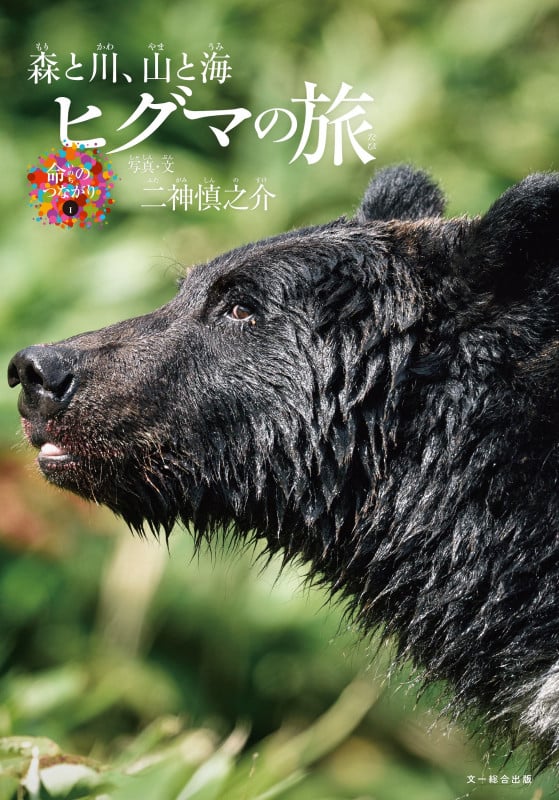 ヒグマの旅 森と川、山と海 (命のつながり 1)