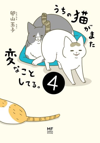 うちの猫がまた変なことしてる。4