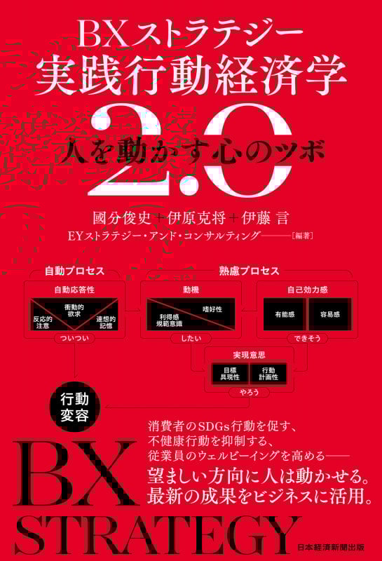 BXストラテジー 実践行動経済学2.0 人を動かす心のツボ