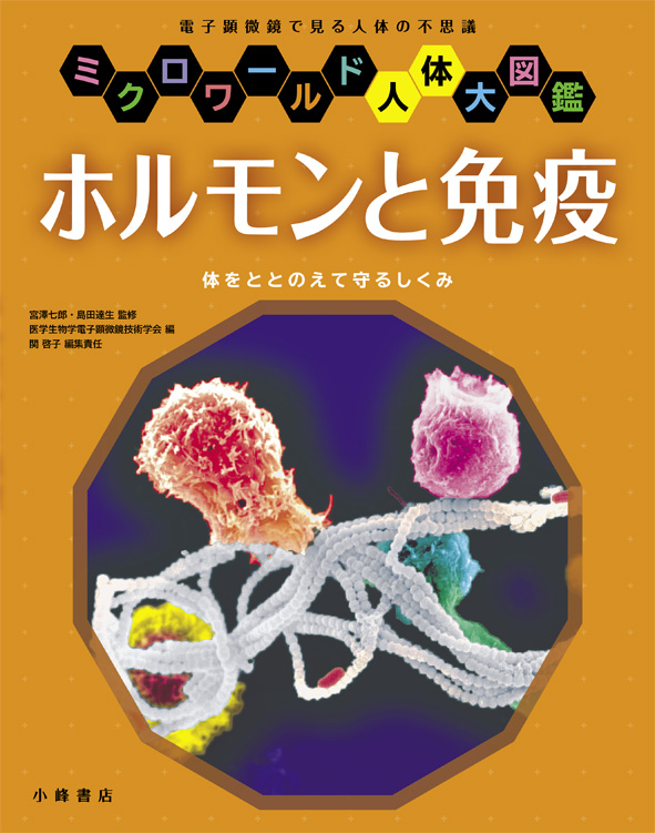 ホルモンと免疫 体をととのえて守るしくみ (ミクロワールド人体大図鑑)