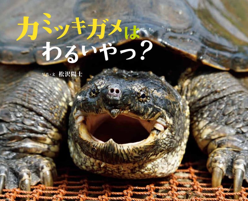 カミツキガメはわるいやつ? (ふしぎびっくり写真えほん)