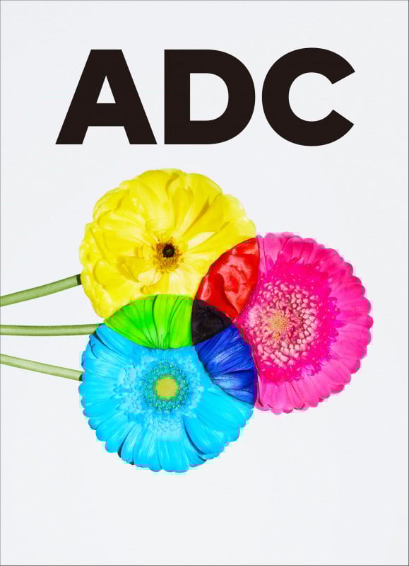 ART DIRECTION JAPAN / 日本のアートディレクション 2024