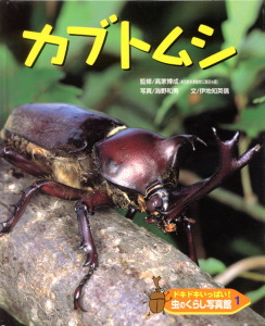 ドキドキいっぱい!虫のくらし写真館 カブトムシ (1)