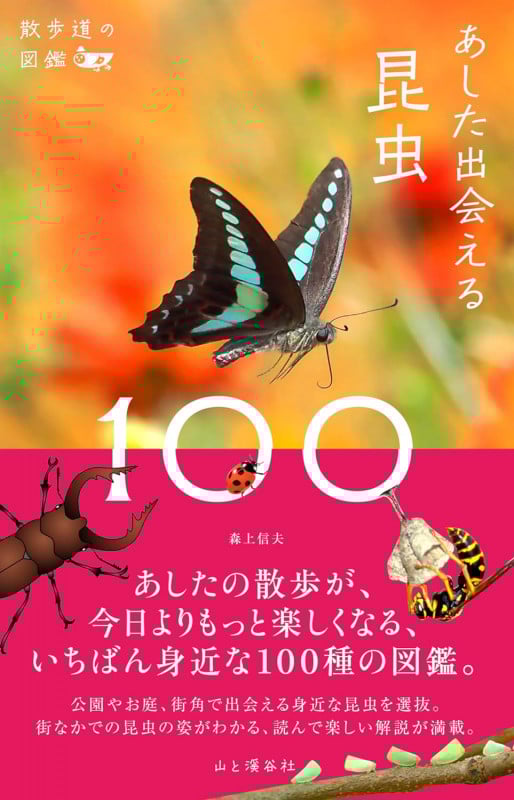 あした出会える昆虫100 (散歩道の図鑑)