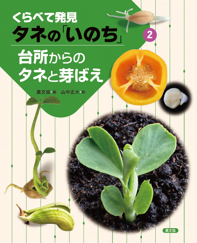 台所からのタネと芽ばえ (くらべて発見 タネの「いのち」 2)