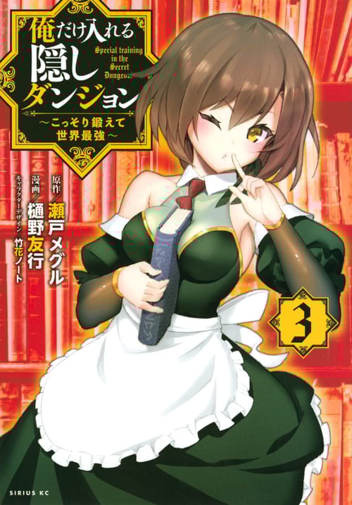 俺だけ入れる隠しダンジョン ~こっそり鍛えて世界最強~(3) (シリウスKC)