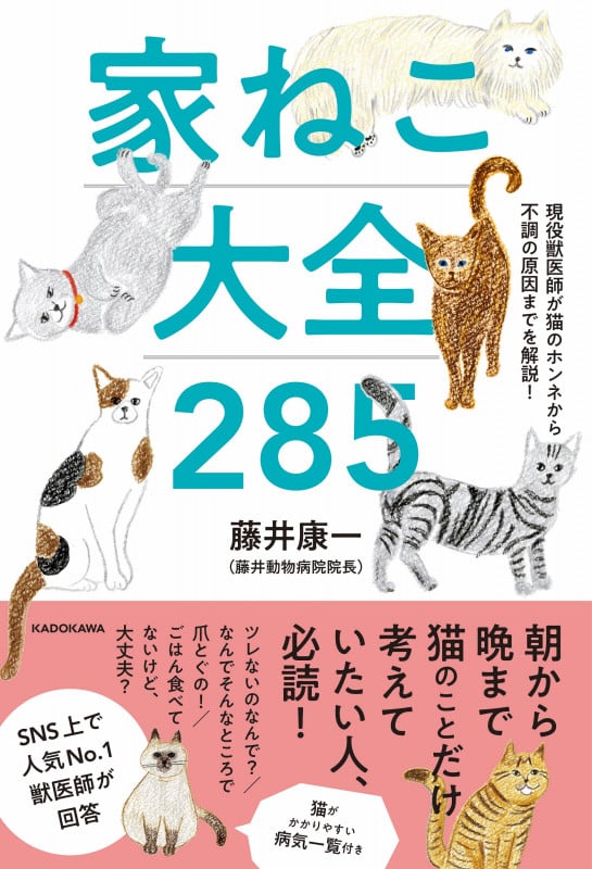 現役獣医師が猫のホンネから不調の原因までを解説! 家ねこ大全 285の詳細を見る