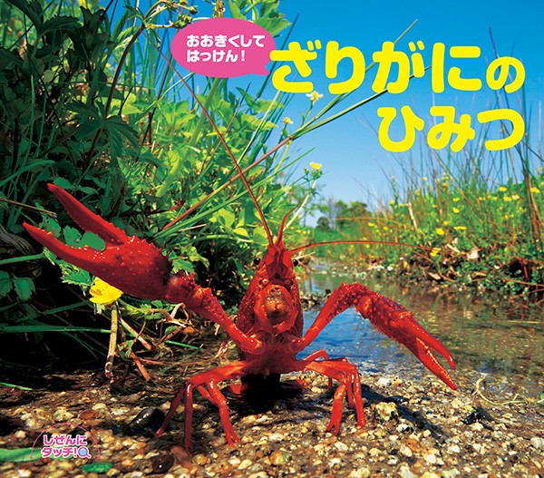 おおきくしてはっけん!ざりがにのひみつ (しぜんにタッチ!)