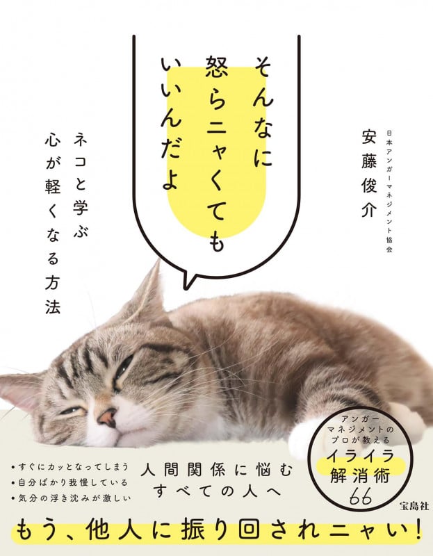 そんなに怒らニャくてもいいんだよ ネコと学ぶ心が軽くなる方法