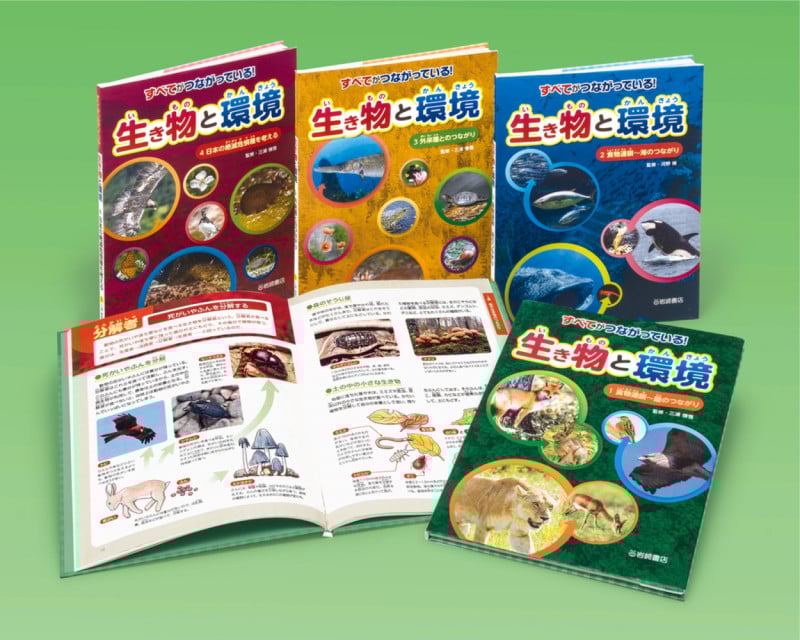 すべてがつながっている! 生き物と環境(全4) (学校・公共図書館向けシリーズ)
