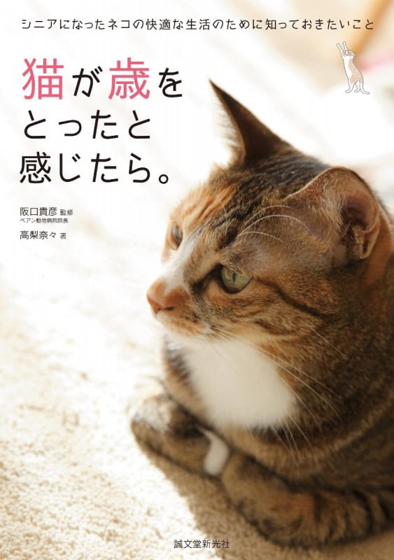 猫が歳をとったと感じたら。 シニアになったネコの快適な生活のために知っておきたいことの詳細を見る