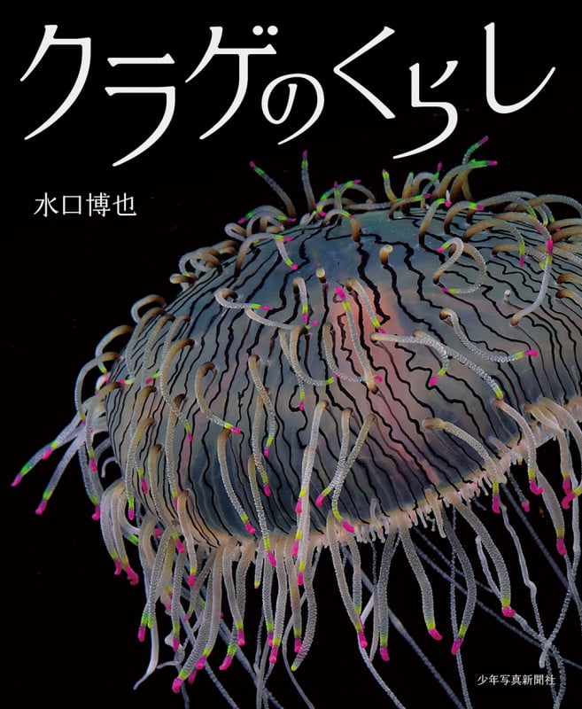 クラゲのくらし (少年写真絵本)