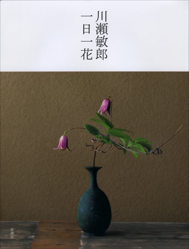 花は野にあるように | 川瀬敏郎のあらすじ・感想 - ブクログ