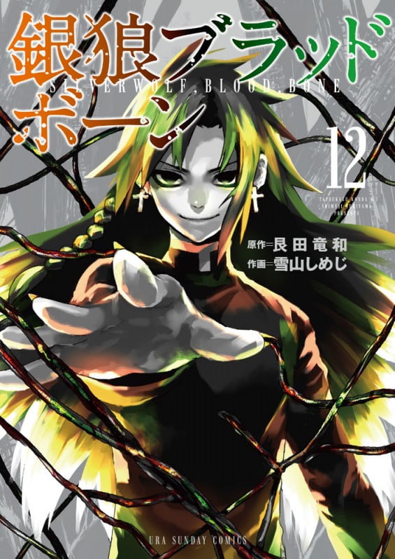 銀狼ブラッドボーン (12) (裏少年サンデーC)