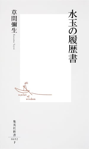 水玉の履歴書 (集英社新書)