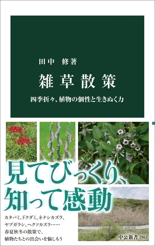 雑草散策 四季折々、植物の個性と生きぬく力 (中公新書 2862)