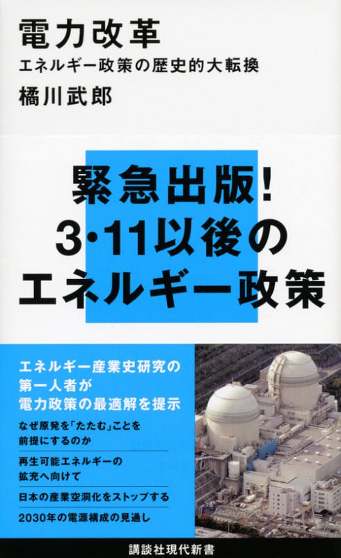 電力改革 エネルギー政策の歴史的大転換 (講談社現代新書)
