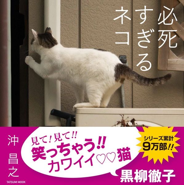 必死すぎるネコ (タツミムック)