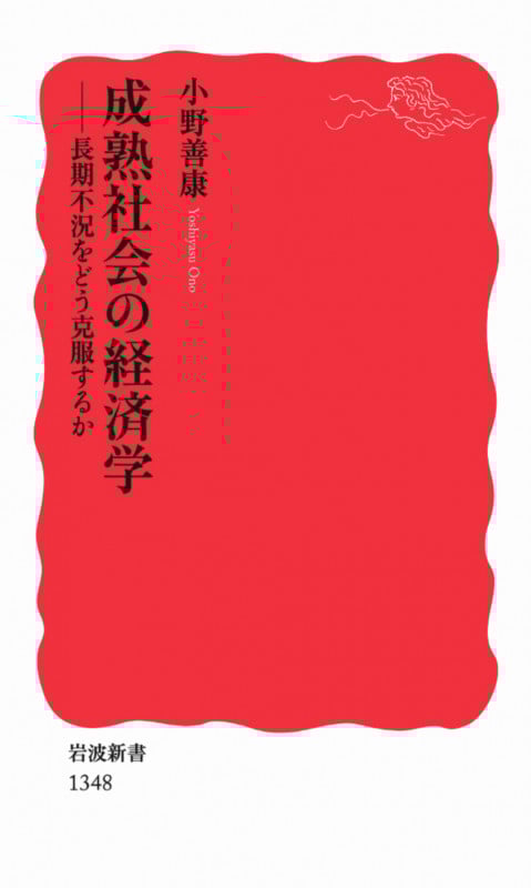 成熟社会の経済学 長期不況をどう克服するか (岩波新書 新赤版1348)