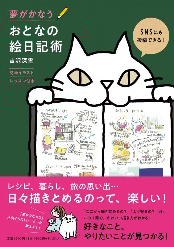 夢がかなうおとなの絵日記術 簡単イラストレッスン付き