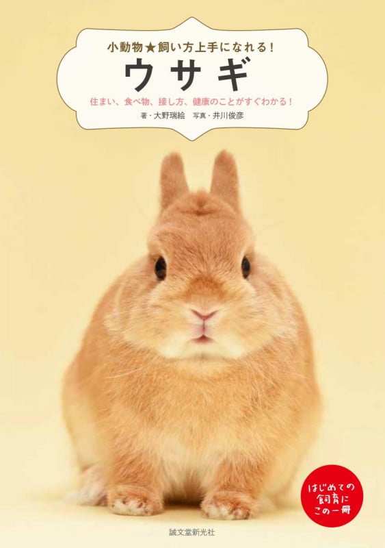 ウサギ 住まい、食べ物、接し方、病気のことがすぐわかる! (小動物☆飼い方上手になれる!)