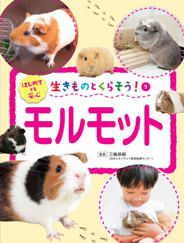 モルモット (生きものとくらそう!)の詳細を見る