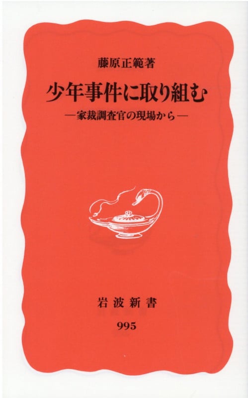少年事件に取り組む 家裁調査官の現場から (岩波新書 新赤版995)