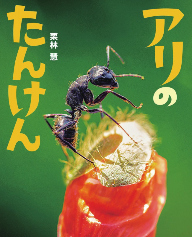 アリのたんけん (ぴっかぴかえほん)