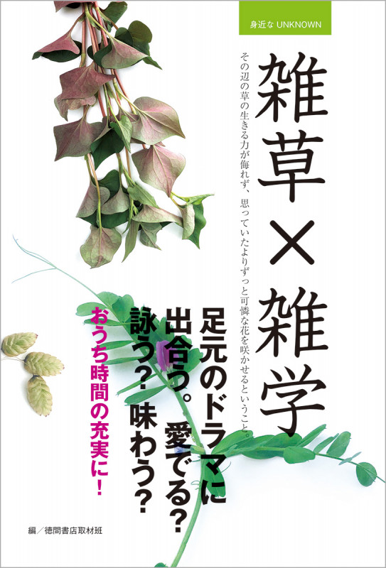 雑草×雑学 その辺の草の生きる力が侮れず、思っていたよりずっと可憐な花を咲かせるということ。 (身近なUNKNOWN)