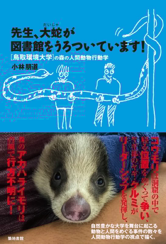 先生、大蛇が図書館をうろついています! [鳥取環境大学]の森の人間動物行動学