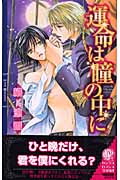 運命は瞳の中に (リンクスロマンス)