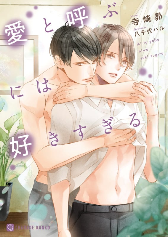 愛と呼ぶには好きすぎる (シャレード文庫)