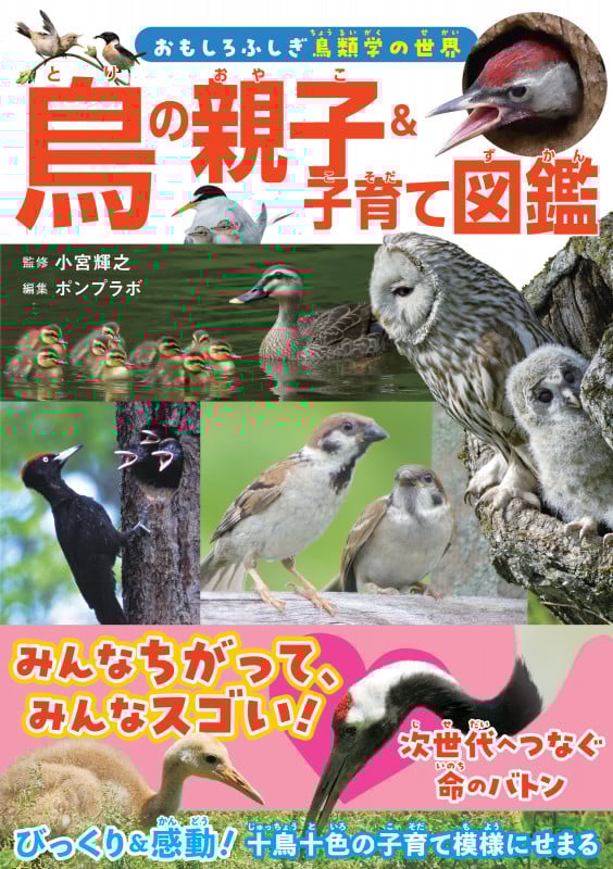 鳥の親子&子育て図鑑