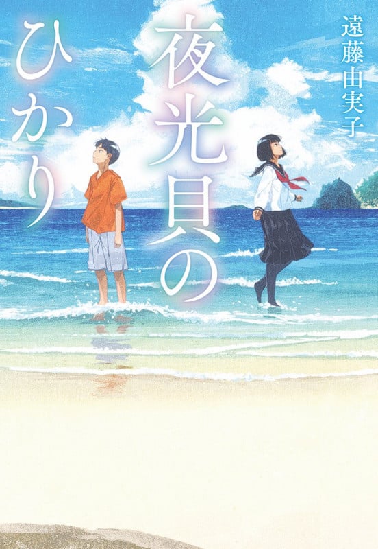 夜光貝のひかり (文研じゅべにーる)