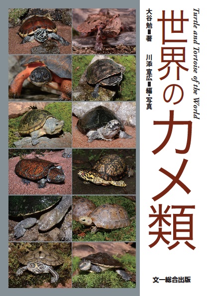 世界のカメ類