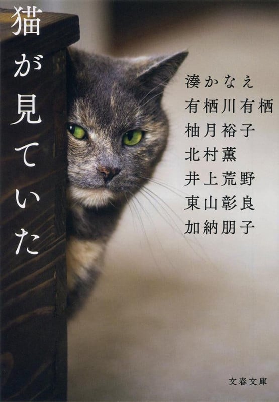 猫が見ていた (文春文庫)