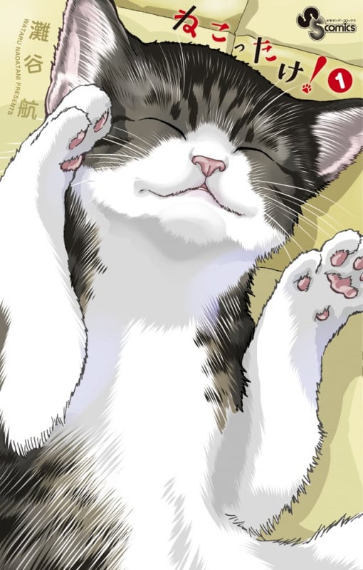 ねこったけ! (1) (少年サンデーコミックス)