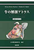 牛の解剖アトラス 増補改訂第2版 ヨドバシ.com - 牛の解剖アトラス 増補改訂第2版 [単行本] 通販
