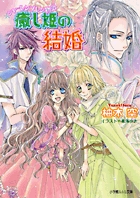 癒し姫の結婚 シャーレンブレン物語 (ルルル文庫)の詳細を見る