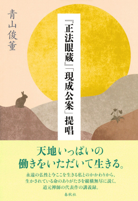 青山俊董 講話集 ～天地いっぱいに生かされて～ CD全12巻 青山俊董講話集 天地いっぱいに生かされて CD全12巻 - 邦楽