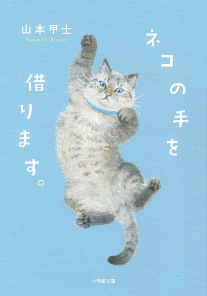 ネコの手を借ります。