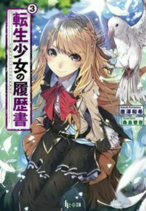 転生少女の履歴書 (3) (ヒーロー文庫)