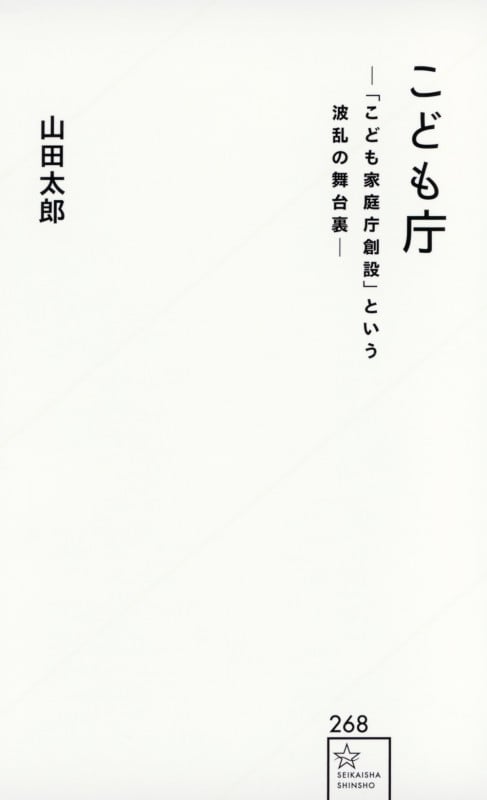 こども庁 「こども家庭庁創設」という波乱の舞台裏 (星海社新書 268)