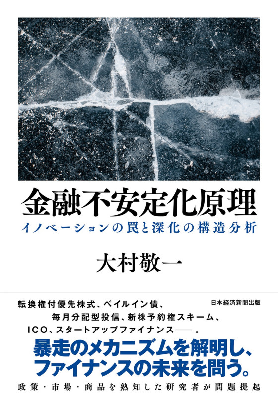 金融不安定化原理 イノベーションの罠と深化の構造分析