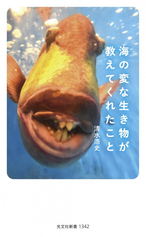 海の変な生き物が教えてくれたこと (光文社新書)